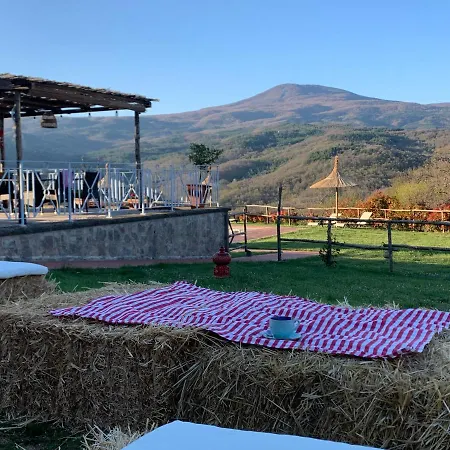 Farm stay Terre Di Giorgio La Palazzetta *