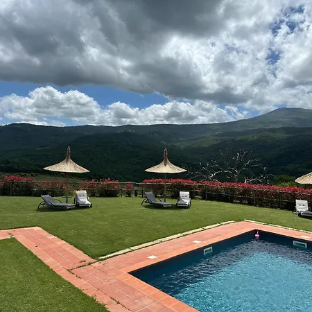 Terre Di Giorgio La Palazzetta 팜스테이 *