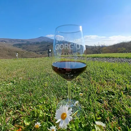 Terre Di Giorgio La Palazzetta 팜스테이