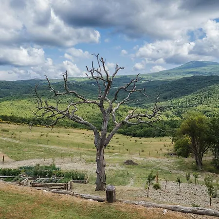 Séjour à la ferme Terre Di Giorgio La Palazzetta *