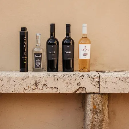 Terre Di Giorgio La Palazzetta Séjour à la ferme Castiglione dʼOrcia